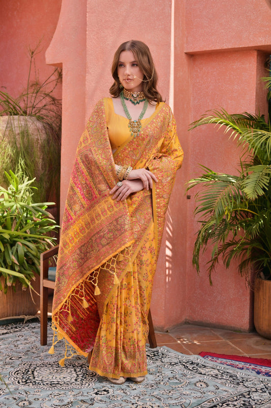 Kashmiri Colourfull Saree With Fancy Pallu Border